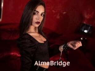 AlmaBridge