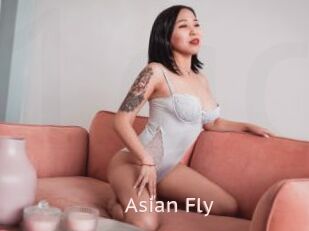 Asian_Fly