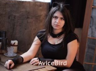 AviceBird