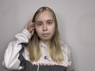 Accadavidge