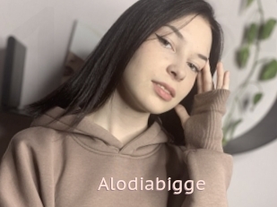 Alodiabigge