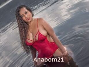 Anabom21