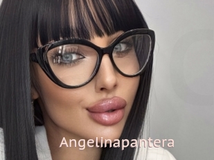 Angelinapantera