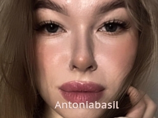 Antoniabasil