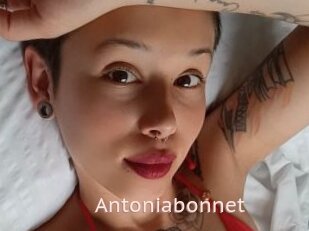 Antoniabonnet