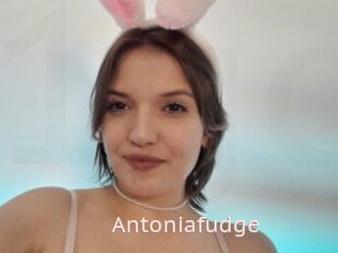 Antoniafudge