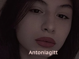 Antoniagitt