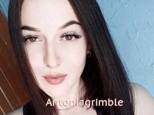 Antoniagrimble