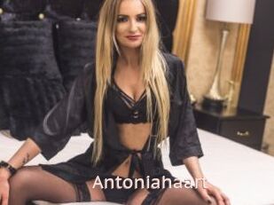 Antoniahaart