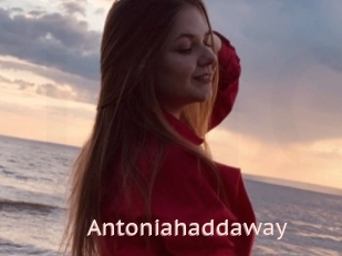 Antoniahaddaway