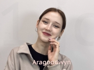 Aragoodwyn