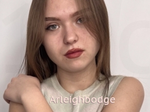 Arleighbodge