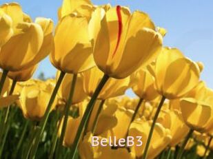 BelleB3