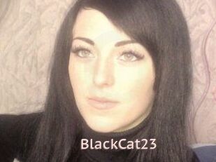 BlackCat23