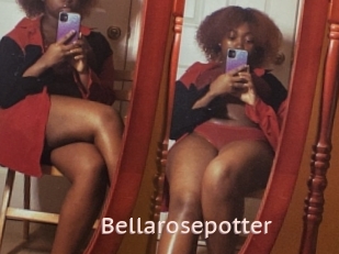 Bellarosepotter