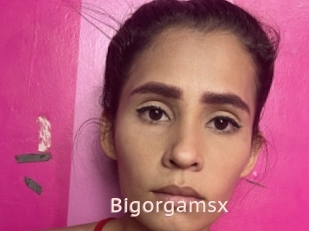 Bigorgamsx