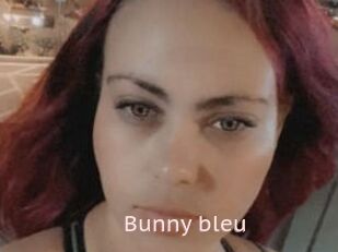 Bunny_bleu