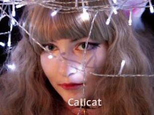 Calicat