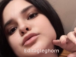 Editagleghorn