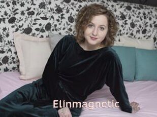 Elinmagnetic