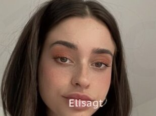 Elisagt