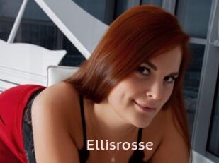 Ellisrosse