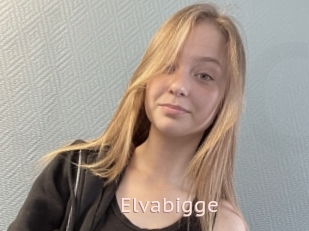 Elvabigge