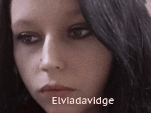 Elviadavidge