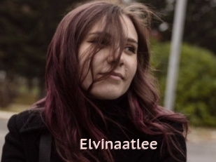 Elvinaatlee