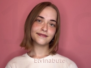 Elvinabute