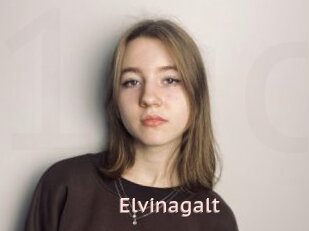 Elvinagalt