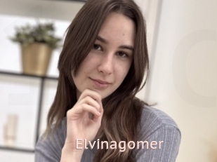 Elvinagomer