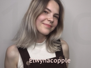 Elwynacopple