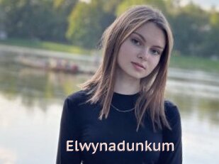 Elwynadunkum