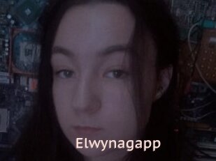 Elwynagapp