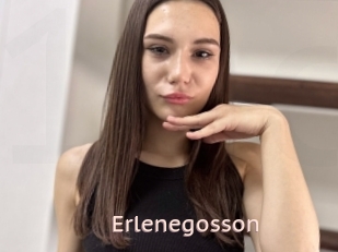 Erlenegosson