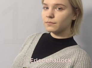 Erlenehallock