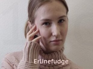 Erlinefudge