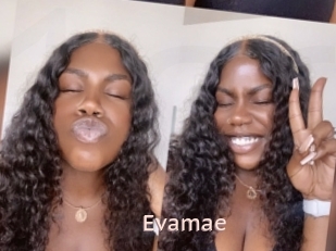 Evamae