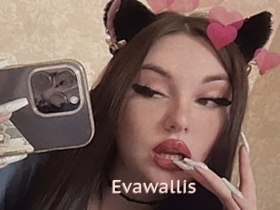 Evawallis