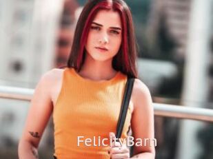 FelicityBarn