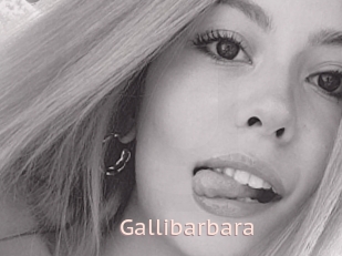 Gallibarbara