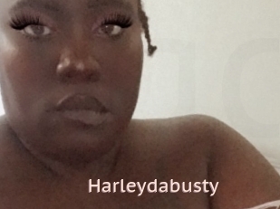 Harleydabusty