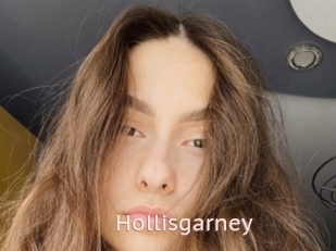 Hollisgarney