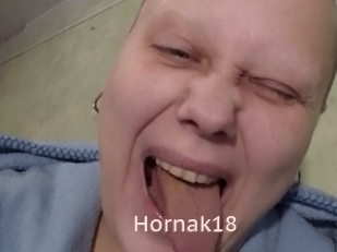 Hornak18