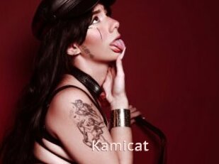 Kamicat