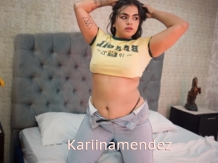 Kariinamendez