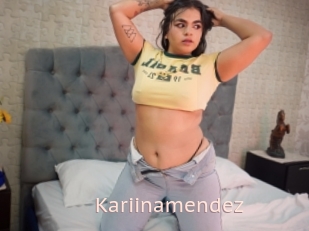 Kariinamendez