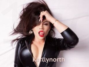 Karllynorth