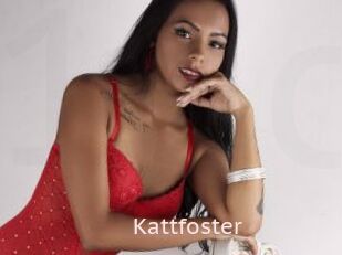 Kattfoster